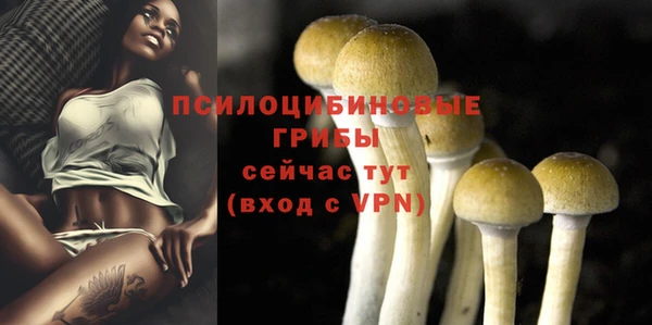 прущий лед Белоозёрский