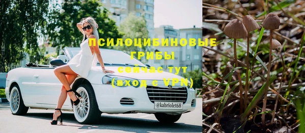 прущий лед Белоозёрский