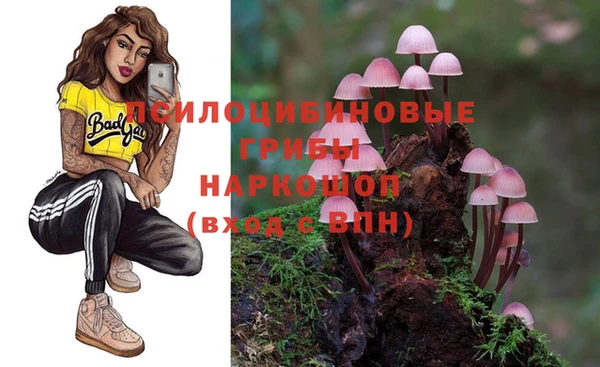 прущий лед Белоозёрский