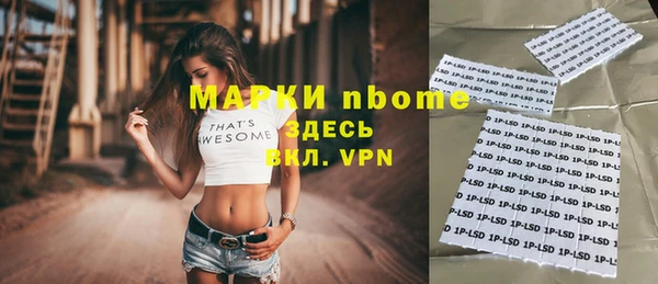 шишки Богородицк