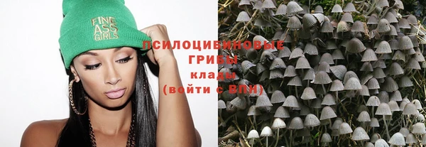амф Беломорск